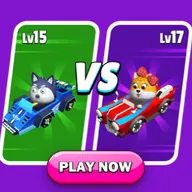 Crazy Kart 3D