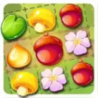 Rừng Ma Thuật Ghép Hình 3