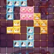 Kuneho Block Match